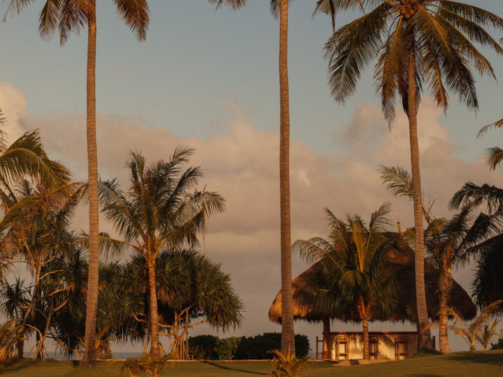 Tropical Sunsets and Pink sky at Wellness Retreat Indonesia